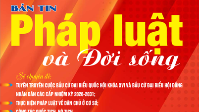Bản tin Pháp luật và Đời sống số 02.2026