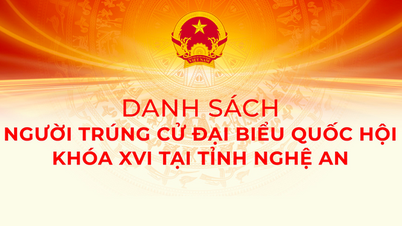 Đồng chí Hoàng Thị Thu Trang trúng cử đại biểu Quốc hội khóa XVI và đại biểu HĐND tỉnh Nghệ An nhiệm kỳ 2026–2031