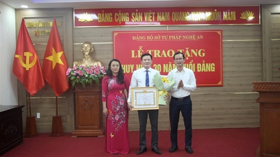 Đảng bộ Sở Tư pháp tổ chức Lễ trao huy hiệu 30 năm tuổi đảng