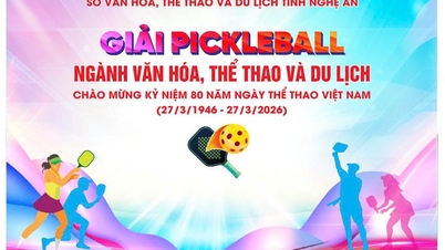 Ngành Văn hóa, Thể thao và Du lịch Nghệ An tổ chức Giải Pickleball dành cho CB,CC,VC năm 2026