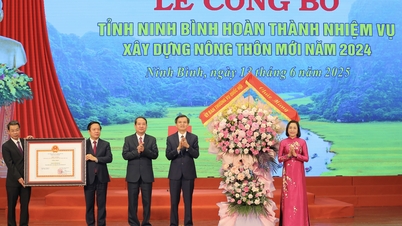 Lễ công bố tỉnh Ninh Bình hoàn thành nhiệm vụ xây dựng nông thôn mới
