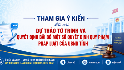 Tham gia ý kiến đối với dự thảo Tờ trình và Quyết định bãi bỏ một số Quyết định quy phạm pháp luật của UBND tỉnh