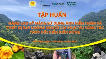 Tập huấn “Nâng cao kỹ năng sử dụng ảnh viễn thám và thiết bị bay không người lái phục vụ theo dõi diễn biến rừng” nhằm góp phần ứng dựng mạnh mẽ khoa học - công nghệ trong công tác quản lý, bảo vệ rừng