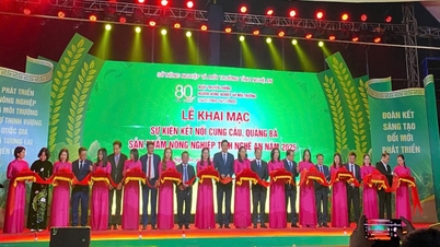Departementet for Landdistriktsudvikling deltog i introduktionen af ​​sikre landbrugsprodukter og OCOP-produkter fra Ninh Binh-provinsen på Nghe An-provinsens landbrugsproduktforbindelses- og promoveringsmesse i 2025.