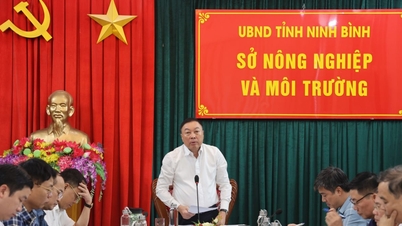 Sở Nông nghiệp và Môi trường triển khai nhiệm vụ 3 tháng cuối năm 2025