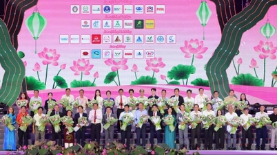 Dong Thap: Festival Lotus ke-3 memperluas cakupan budaya dan pariwisatanya.