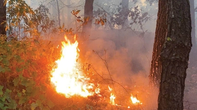 Não deixe que incêndios comecem por negligência.