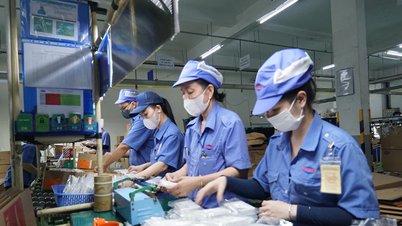 中小企業を支援する画期的な技術を生み出す。
