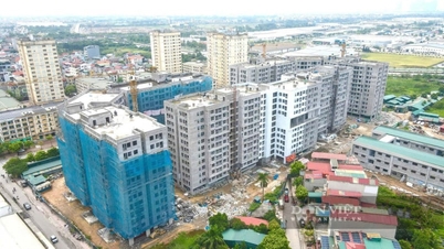 Hà Nội hạn chế phát triển cao tầng nội đô, ưu tiên đô thị vệ tinh và nhà ở cho thuê