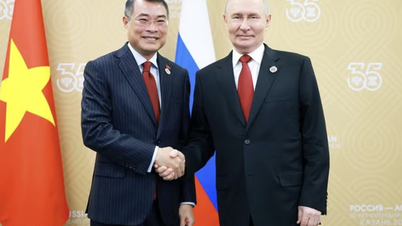 Perdana Menteri Le Minh Hung bertemu dengan Presiden Putin: Mempercepat Proyek Pembangkit Listrik Tenaga Nuklir Ninh Thuan 1.