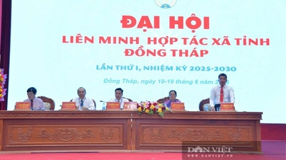 Penyelenggaraan Kongres Pertama Serikat Koperasi Provinsi Dong Thap