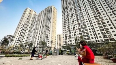 Sosyal konut ve kiralık konut, sosyal güvenlik stratejisinin 'temel taşlarıdır'.