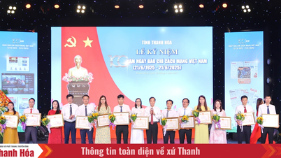 Tran Mai Ninh Gazetecilik Ödülü 2025'e dair kısa bir genel bakış