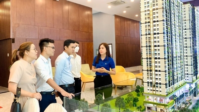 Dòng tiền bất động sản đang quay lại phía Nam, TP.HCM "bất ngờ" trở thành tâm điểm