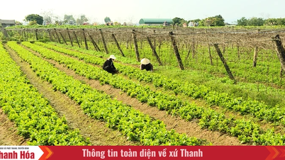 ราคาปุ๋ยที่พุ่งสูงขึ้นทำให้เกษตรกรประสบความยากลำบากในการรักษาระดับการผลิต