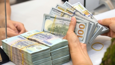 Cursurile de schimb USD astăzi, 19 iunie 2026: Creșteri generalizate.