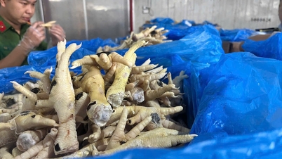 Pihak berwenang telah memulai proses hukum dalam kasus penyelundupan yang melibatkan lebih dari 10.000 ton kaki ayam beku, dan menyita lebih dari 2.000 ton barang.
