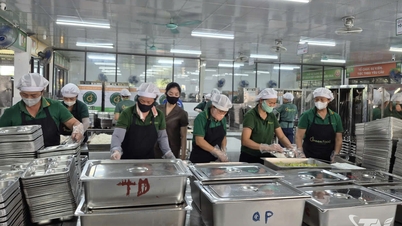 GREEN FOOD – Sharing love through safe meals