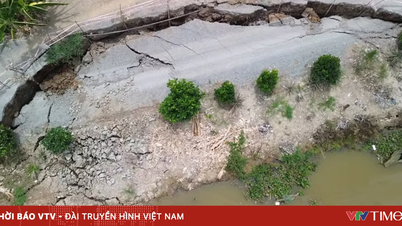 Tay Ninh: Canal and dike erosion threatens the safety of residents.