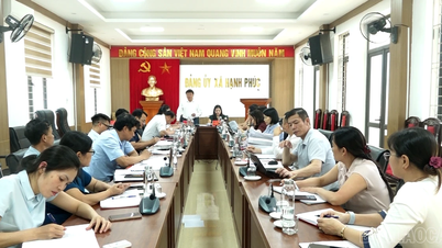 ทีมตรวจสอบของคณะกรรมการพรรคประจำจังหวัดปฏิบัติงานในตำบลหานฟุก