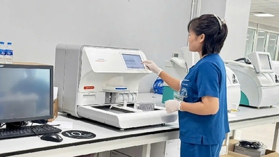 L'établissement principal est la succursale de Ninh Binh de l'hôpital Bach Mai.