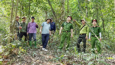 "Empat prinsip di tapak" dalam pencegahan dan kawalan kebakaran hutan.