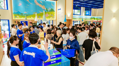 Vinamilk: For three consecutive years, the only Vietnamese dairy company in the Fortune 500 Southeast Asia list.