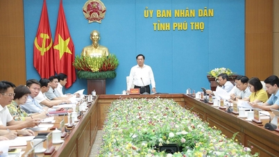 Phiên họp hành chính UBND tỉnh tháng 8/2025