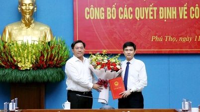 Đồng chí Ngô Chí Tuệ được bổ nhiệm giữ chức vụ Chánh Văn phòng UBND tỉnh Phú Thọ