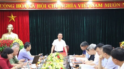 Đẩy nhanh tiến độ thực hiện công tác bồi thường hỗ trợ, tái định cư và tiến độ thi công các dự án do Ban Quản lý dự án Khu vực Hòa Bình làm chủ đầu tư