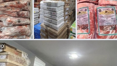 Las autoridades descubrieron más de 2 toneladas de patas de pollo congeladas y carne con etiquetas extranjeras.
