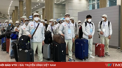 Hà Nội cắt giảm nhiều thủ tục lĩnh vực lao động, việc làm