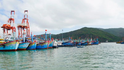 Gia Lai quyết liệt giữ nhịp sản xuất và ổn định đời sống người dân