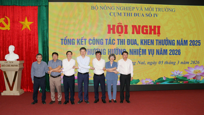 Hoạt động Khối thi đua số 3