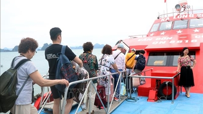Wisata pantai dan pulau sangat menarik bagi pengunjung selama bulan-bulan musim panas yang terik.