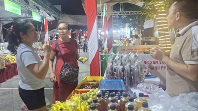 ซอนลาได้นำ "ขุมทรัพย์แห่งอาหารพิเศษ" จากภาคตะวันตกเฉียงเหนือของเวียดนามทั้งหมดมาไว้ที่ไฮฟอง โดยหวังว่าจะได้ผลลัพธ์ที่น่าประหลาดใจ