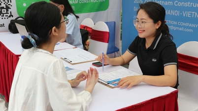 65% lao động thất nghiệp tại Hà Nội hạn chế kỹ năng số cơ bản