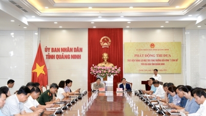 The Provincial People's Committee launches a campaign to successfully achieve growth targets.