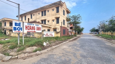 Qu’est-ce qui a poussé Ninh Binh à décider de « supprimer » la marque Quat Lam ?