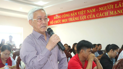 Discrepancias fiscales: Las empresas vietnamitas están siendo blanco de socios extranjeros disueltos.