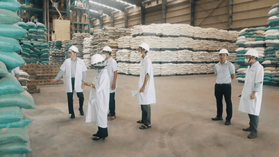 Gia Lai tăng cường giám sát công tác bảo vệ môi trường tại Khu công nghiệp Nhơn Hòa