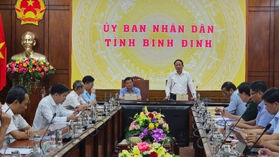 Die Provinz Binh Dinh wird im ersten Quartal 2025 ihre Maßnahmen zur Bekämpfung der illegalen, ungemeldeten und unregulierten Fischerei überprüfen.