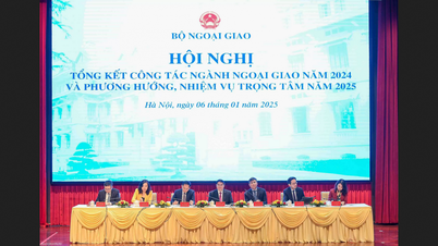 Die wegweisende, entscheidende und anhaltende Rolle der vietnamesischen Diplomatie sollte nachdrücklich hervorgehoben werden.