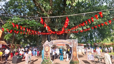 Das faszinierende Giồng Cây Da Khánh Bình Food Festival