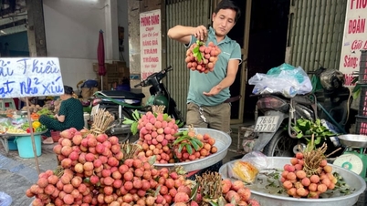 ราคาลิ้นจี่ที่น่าประหลาดใจ และบรรยากาศการซื้อขายในช่วงเทศกาลเรือมังกรในนครโฮจิมินห์