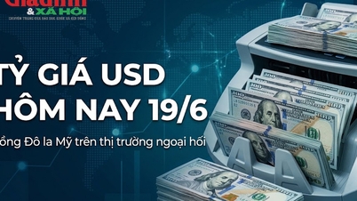 Tỷ giá USD hôm nay 19/6: Đồng Đô la Mỹ chợ đen chững giá liên tục mấy ngày liền