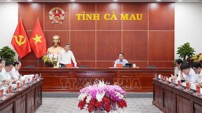 กระทรวงมหาดไทยทำงานร่วมกับจังหวัดกาเมาในการบังคับใช้กฎหมายและการจัดการการละเมิดทางปกครอง