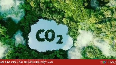 Penangkapan dan Penyimpanan CO2 - Kunci Menuju Net Zero