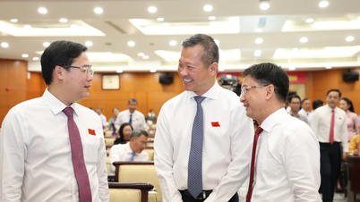 Ho Chi Minh-byen vurderer investeringspolitikken for fire nøkkelprosjekter.