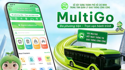 Phấn đấu đến 1-1-2029, toàn bộ xe buýt hoạt động trên địa bàn TPHCM là xe điện